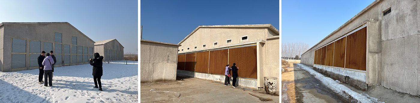 This case shows our chicken coop installation project at a small farm.