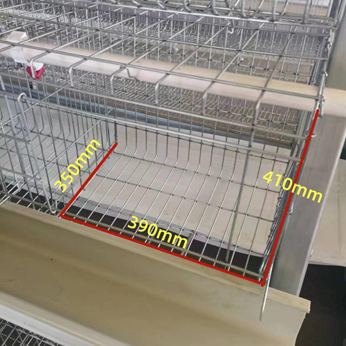 A Type Layer Chicken Cage