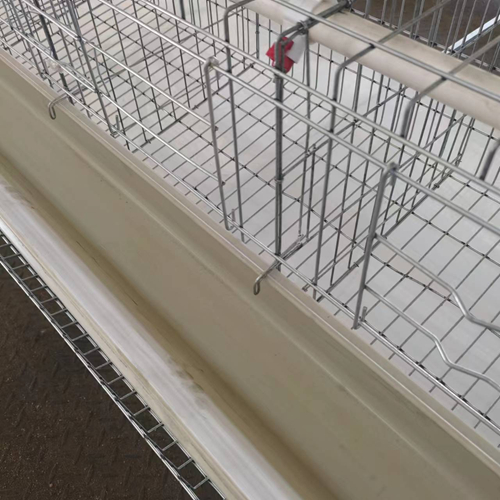 A Type Layer Chicken Cage