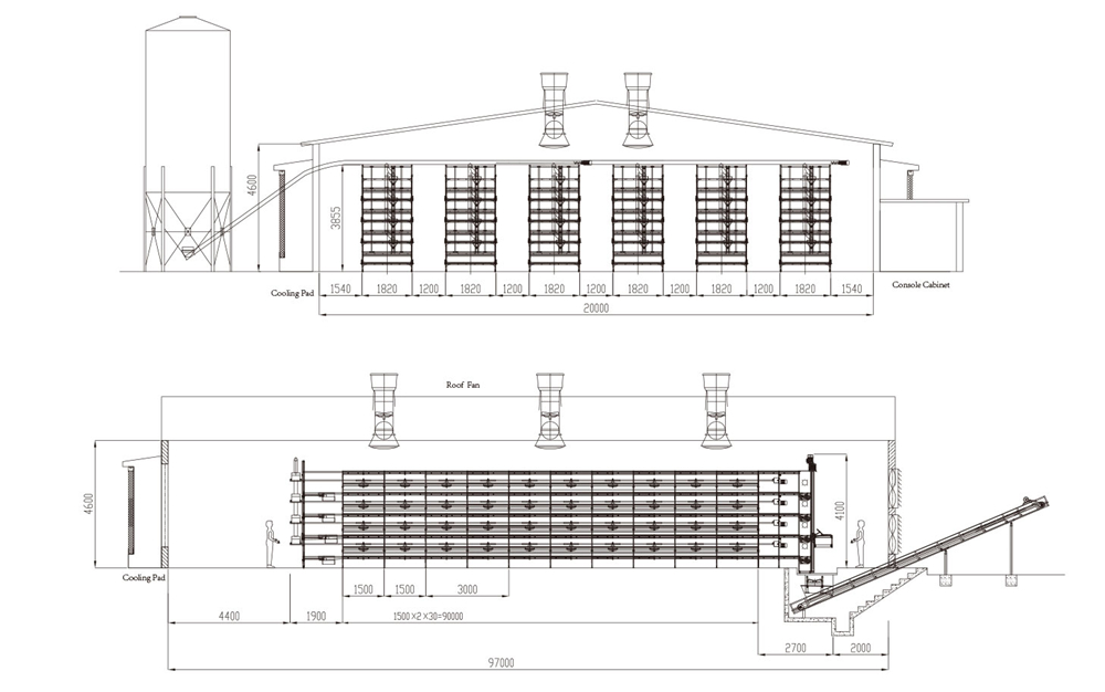 Automatic Broiler Chicken Cage