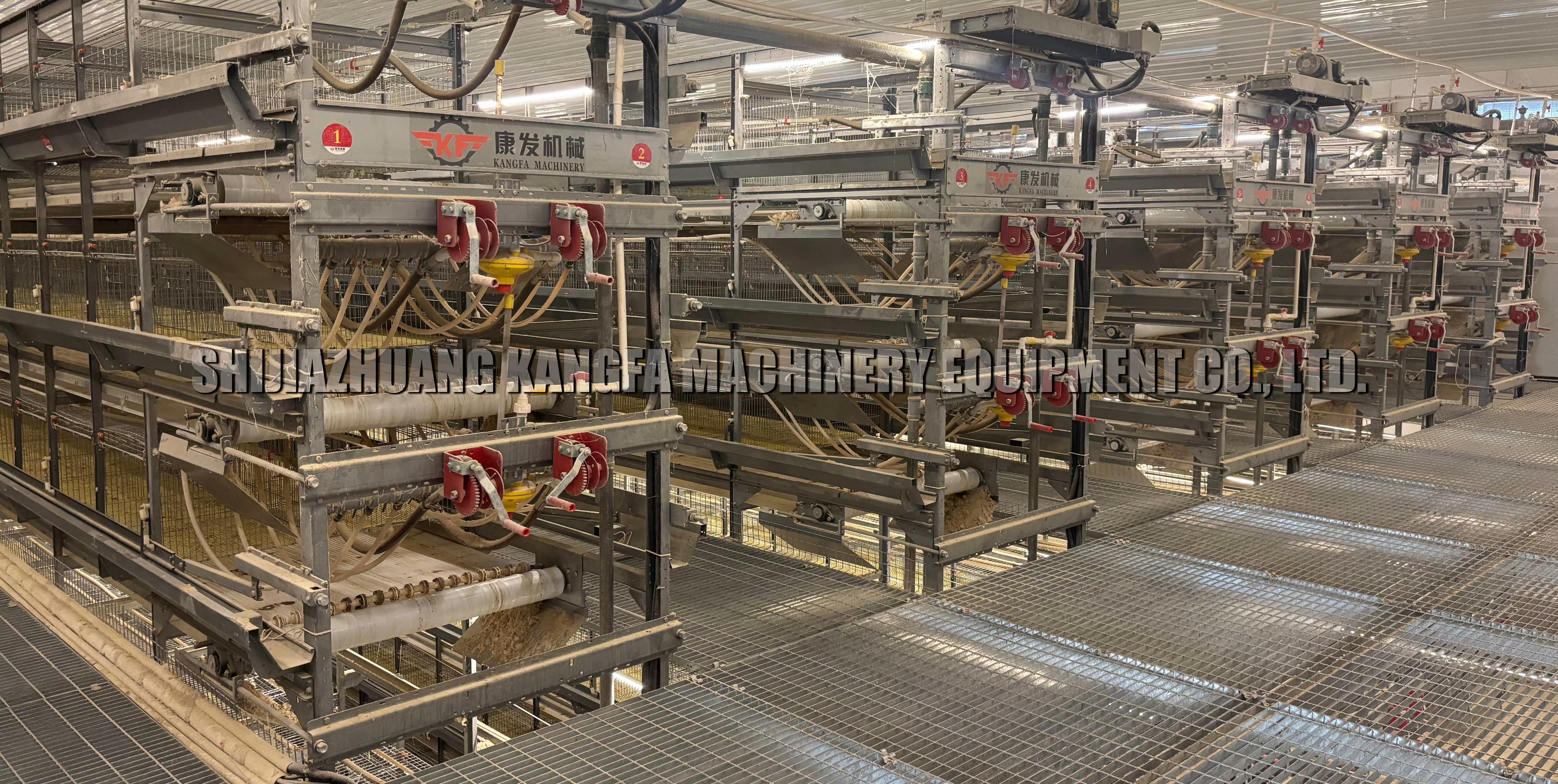 How to Choose Chicken Cage Equipment: Professional Guide & Innovative Solutions How to Choose Chicken Cage Equipment: Professional Guide & Innovative Solutions