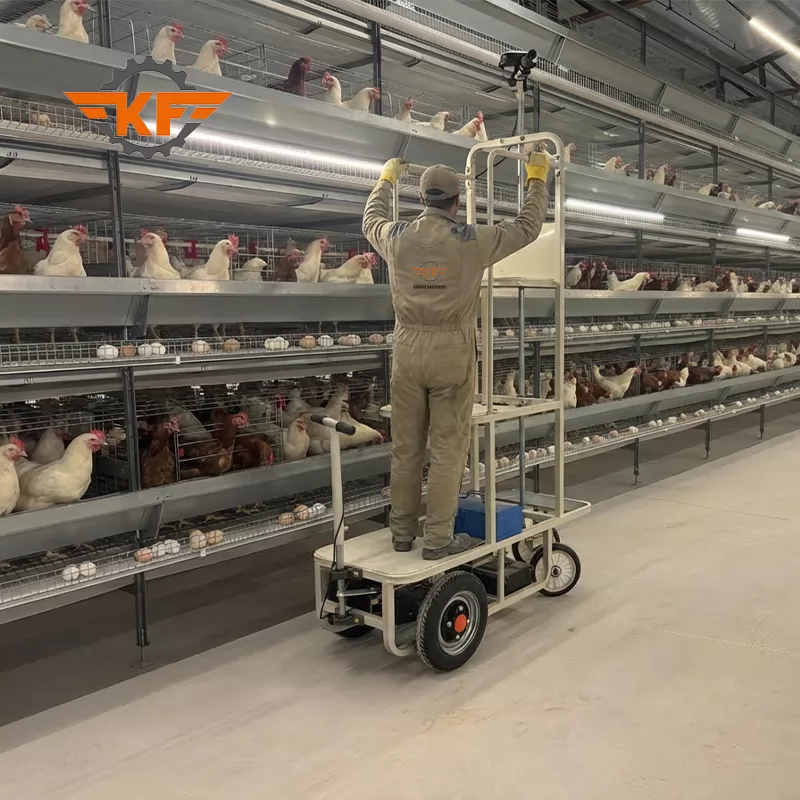 How One Farm Boosted Efficiency by 300% with Automation | SmartPasture Case Study How One Farm Boosted Efficiency by 300% with Automation | SmartPasture Case Study