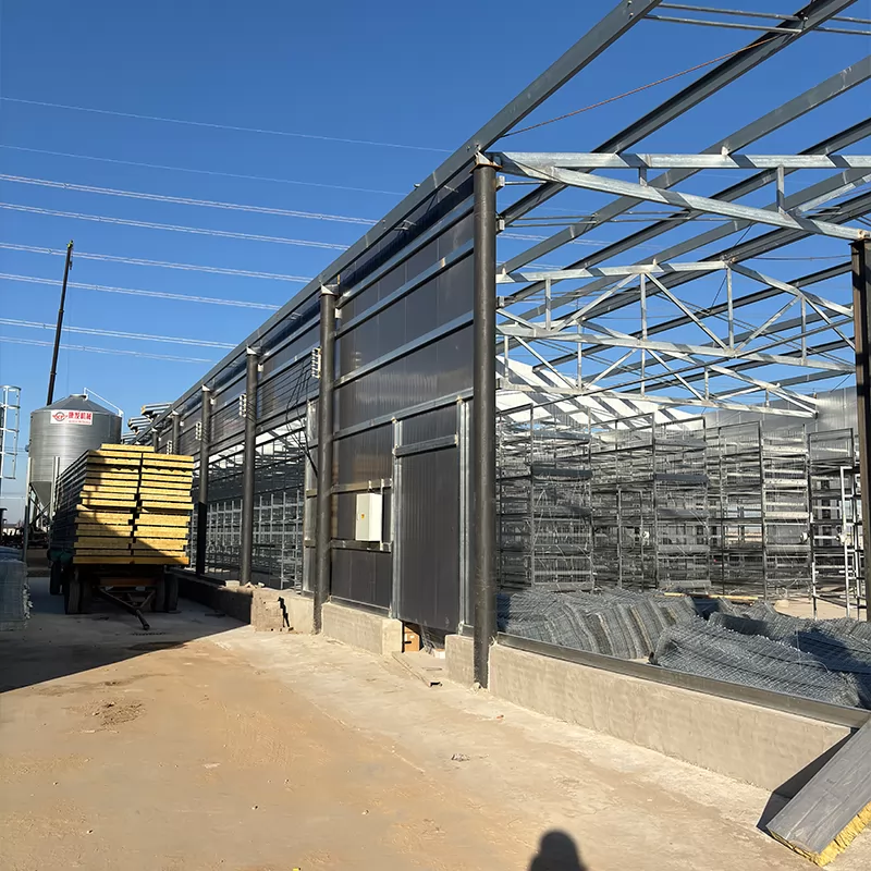 How to Design a Chicken Coop: The 5-Step Blueprint for Healthier Hens & Higher Yields How to Design a Chicken Coop: The 5-Step Blueprint for Healthier Hens & Higher Yields