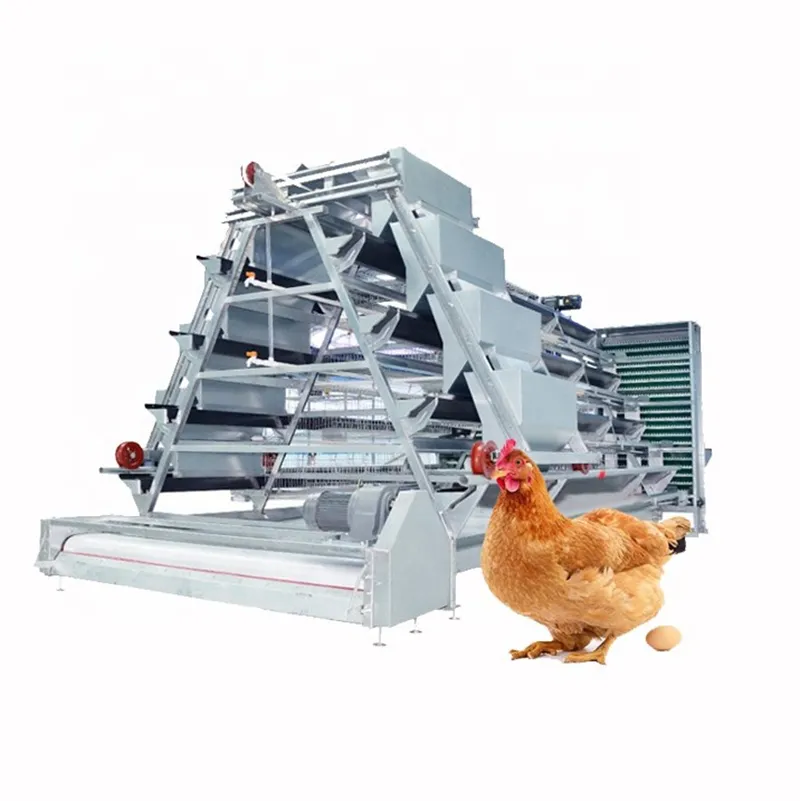 A Type Layer Chicken Cage