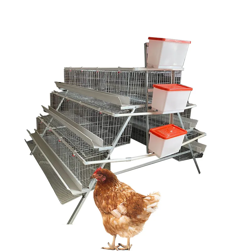 A Type Layer Chicken Cage