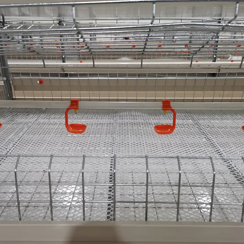 Automatic Broiler Chicken Cage