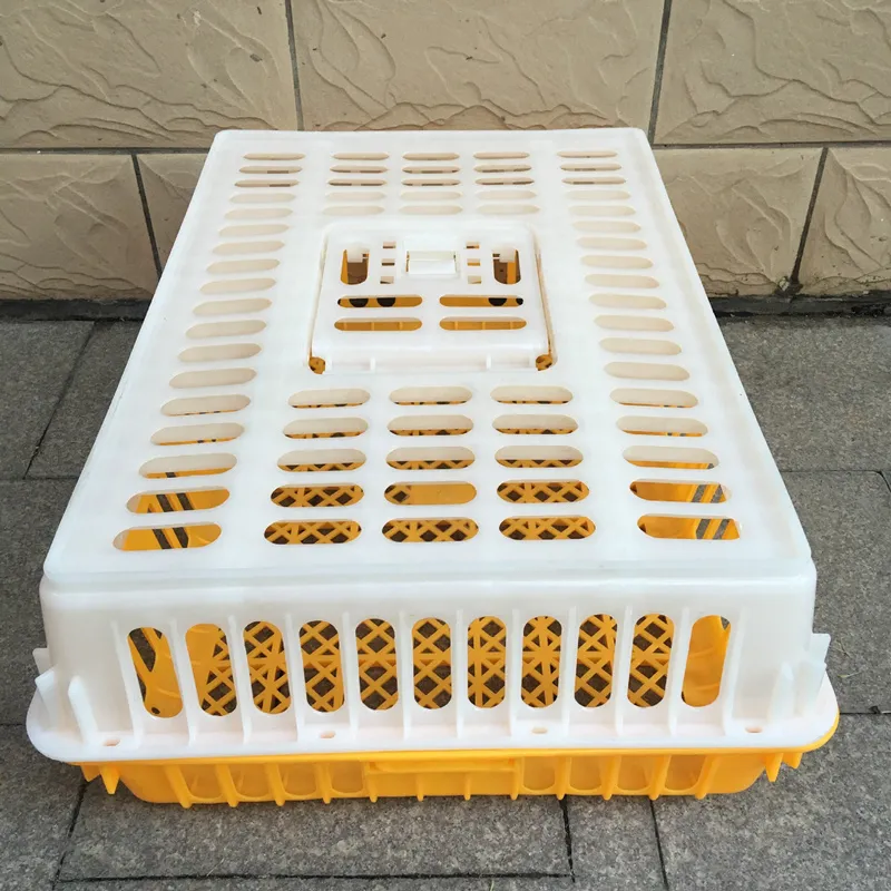 Chick Turnover Box Poultry Plastic Transport Cage