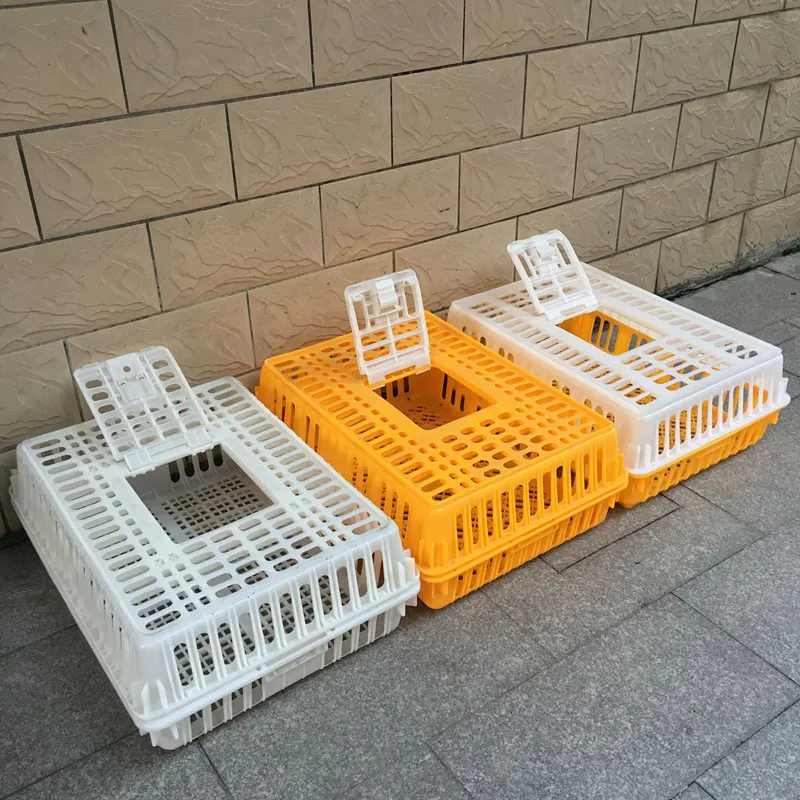 Chick Turnover Box Poultry Plastic Transport Cage