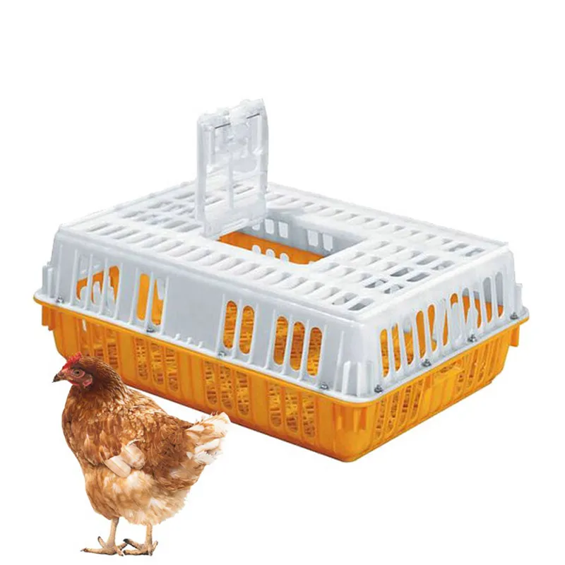 Chick Turnover Box Poultry Plastic Transport Cage