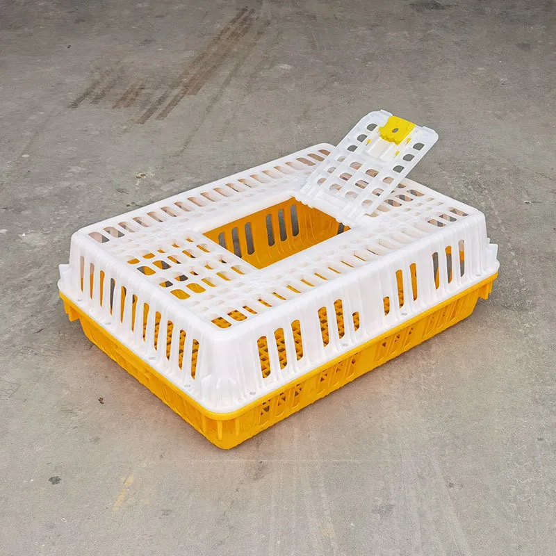 Chick Turnover Box Poultry Plastic Transport Cage