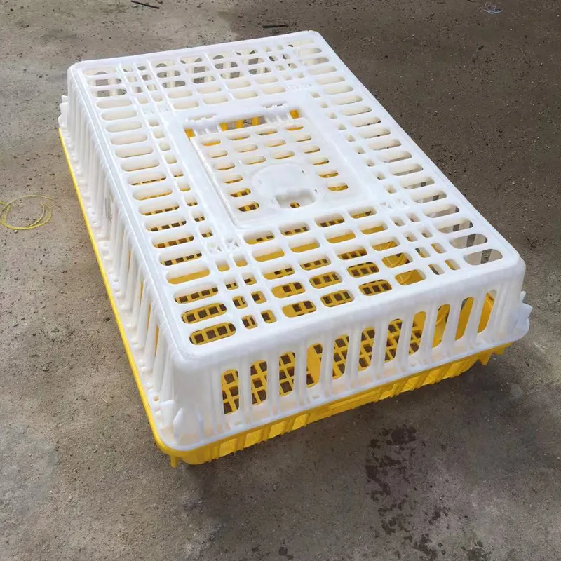 Chick Turnover Box Poultry Plastic Transport Cage