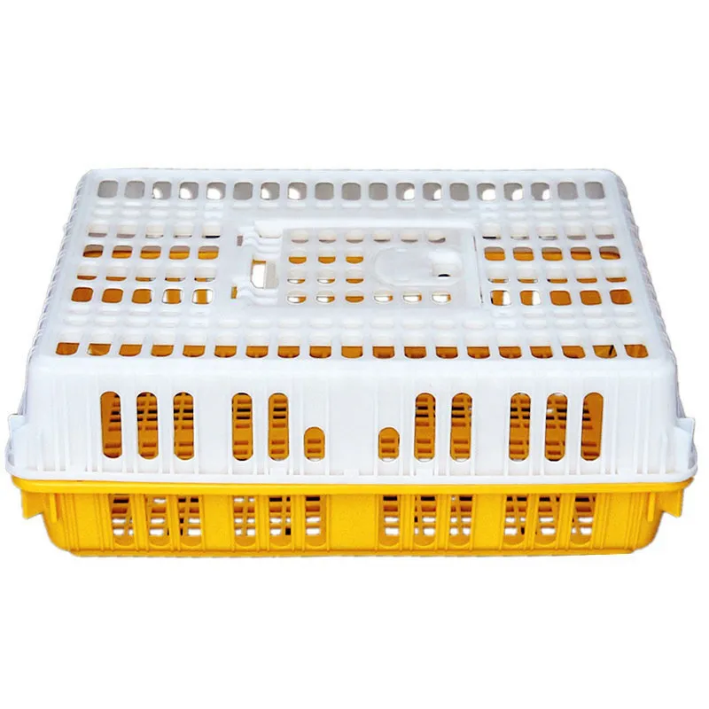 Chick Turnover Box Poultry Plastic Transport Cage