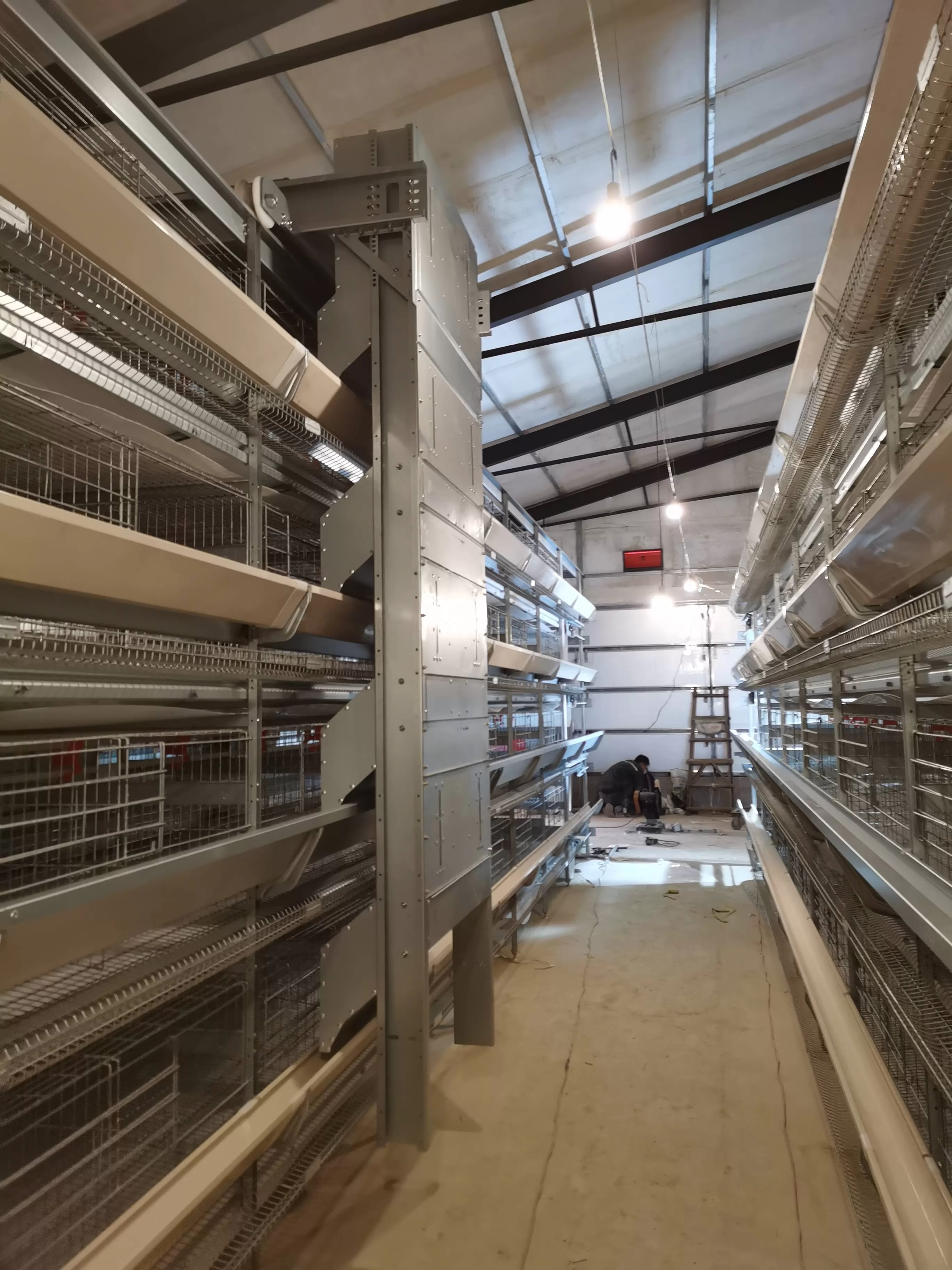 Automated Layer Chicken Cage System: Boost Your Poultry Farming Efficiency