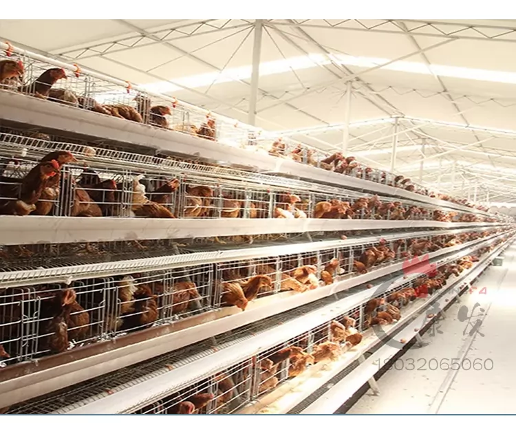 H-type battery cage is suitable for those scenarios