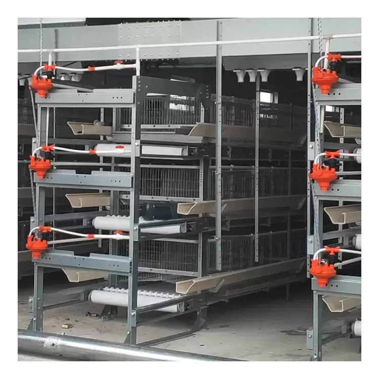 Step-by-Step Guide to Installing a Layer Chicken Cage System Step-by-Step Guide to Installing a Layer Chicken Cage System