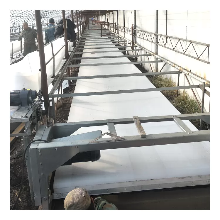 Manure Removal Systems: Keeping Poultry Houses Clean and Productive Manure Removal Systems: Keeping Poultry Houses Clean and Productive