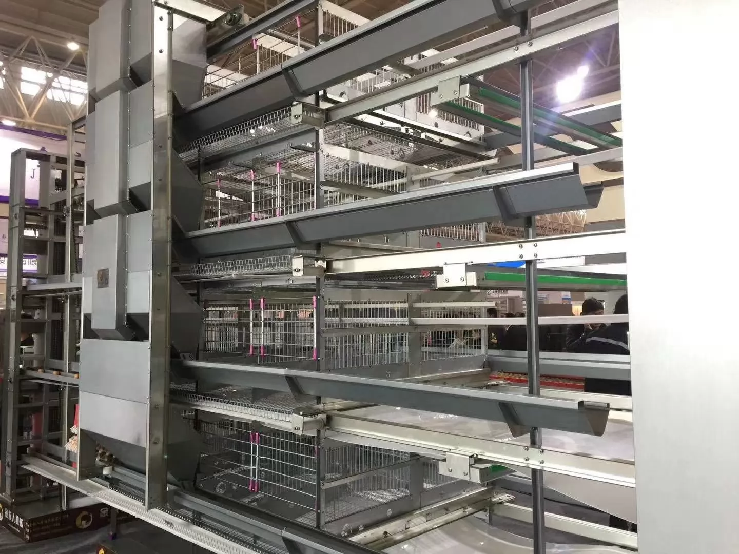 How the H-Type Layer Chicken Cage System Operates in Poultry Houses How the H-Type Layer Chicken Cage System Operates in Poultry Houses