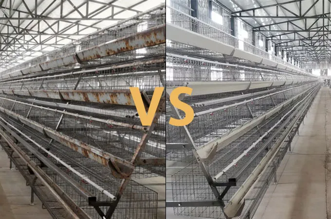 Hot-Dip Galvanized vs. Cold Galvanized Chicken Cages: Why Material Matters? Hot-Dip Galvanized vs. Cold Galvanized Chicken Cages: Why Material Matters?