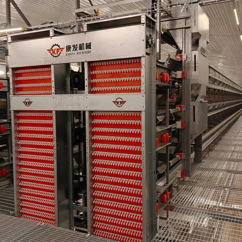 H-Type vs. A-Type Chicken Cage: Which One Maximizes Your Poultry Farm ROI in 2026? H-Type vs. A-Type Chicken Cage: Which One Maximizes Your Poultry Farm ROI in 2026?